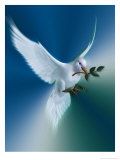 dove of peace dove of peace