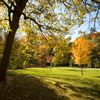 park park