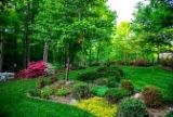 summer garden summer garden