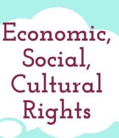 Seven Economic, Social And Cultural Rights | Social Justice Ireland