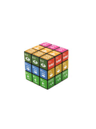 SDG Rubik Cube